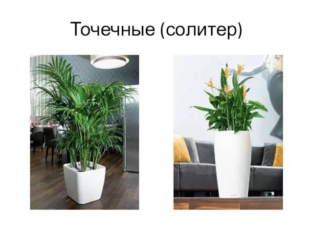 Точечные (солитер)