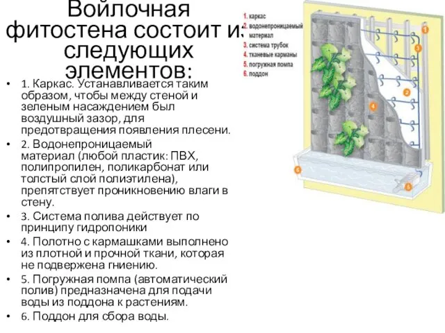 Войлочная фитостена состоит из следующих элементов: 1. Каркас. Устанавливается таким образом,