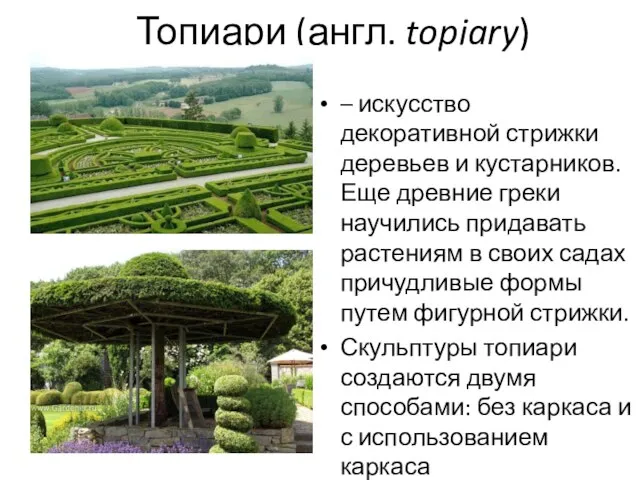 Топиари (англ. topiary) – искусство декоративной стрижки деревьев и кустарников. Еще