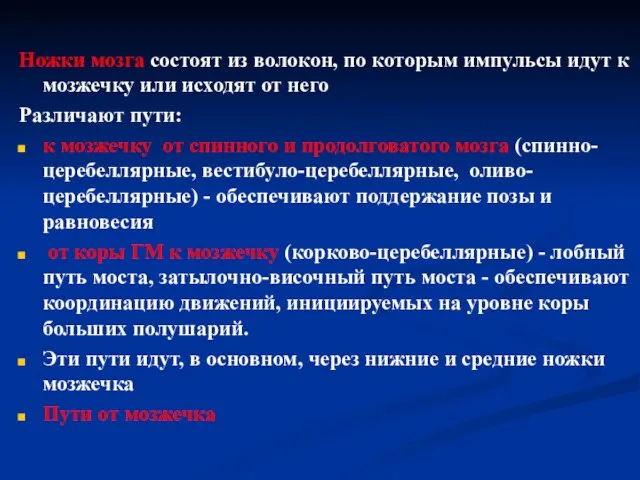 Ножки мозга состоят из волокон, по которым импульсы идут к мозжечку