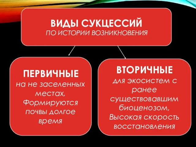 ВИДЫ СУКЦЕССИЙ ПО ИСТОРИИ ВОЗНИКНОВЕНИЯ ПЕРВИЧНЫЕ на не заселенных местах, Формируются