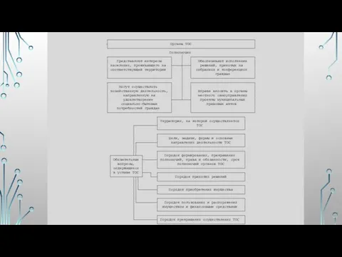 ┌────────────────────────────────────────────────────────────────────┐ ┤ Органы ТОС │ └────────────────────────────────────────────────────────────────────┘ Полномочия ┌─────────────────────────────┐ │ ┌─────────────────────────────┐ │