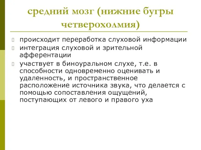 средний мозг (нижние бугры четверохолмия) происходит переработка слуховой информации интеграция слуховой