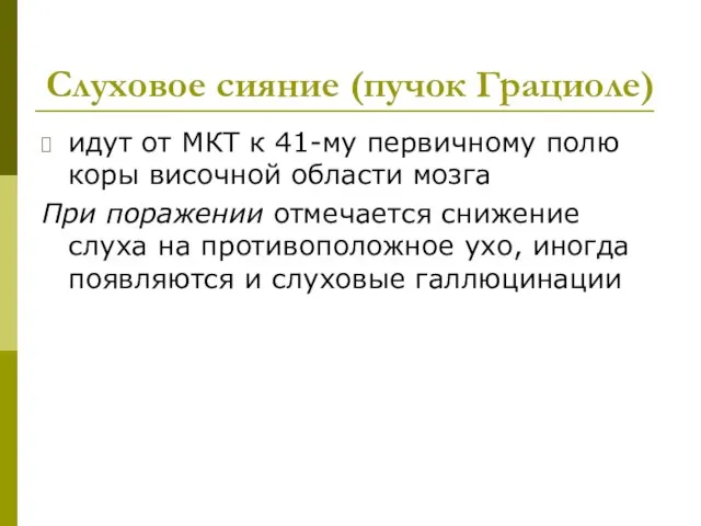 Слуховое сияние (пучок Грациоле) идут от МКТ к 41-му первичному полю