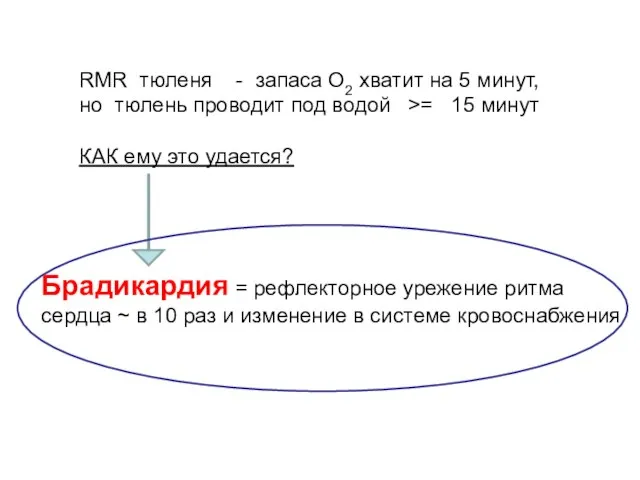 RMR тюленя - запаса О2 хватит на 5 минут, но тюлень