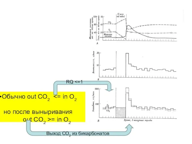 Обычно out CO2 но после выныривания оut CO2 >= in O2 Выход СО2 из бикарбонатов RQ