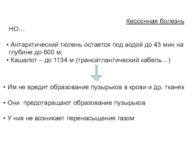 Кессонная болезнь НО… Антарктический тюлень остается под водой до 43 мин