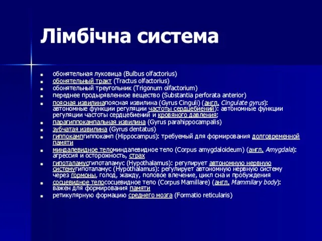 Лімбічна система обонятельная луковица (Bulbus olfactorius) обонятельный тракт (Tractus olfactorius) обонятельный