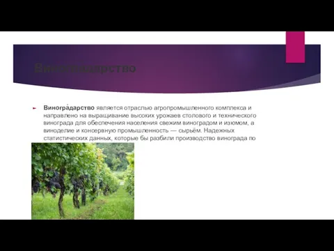 Виногра́дарство Виногра́дарство является отраслью агропромышленного комплекса и направлено на выращивание высоких