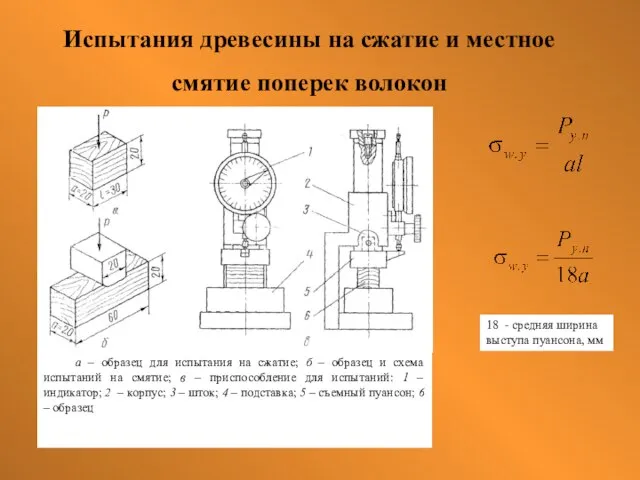 Испытания древесины на сжатие и местное смятие поперек волокон а –