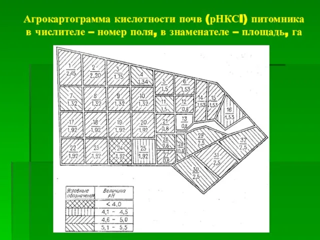 Агрокартограмма кислотности почв (рНКСI) питомника в числителе – номер поля, в знаменателе – площадь, га