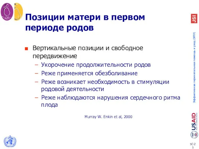 Позиции матери в первом периоде родов Вертикальные позиции и свободное передвижение