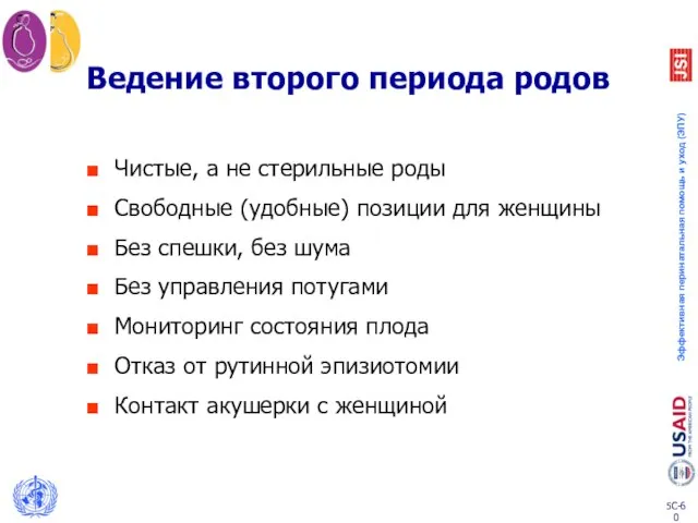 Ведение второго периода родов Чистые, а не стерильные роды Свободные (удобные)