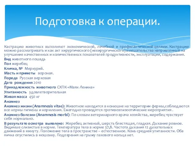 Кастрацию животных выполняют экономической, лечебной и профилактической целями. Кастрацию можно рассматривать