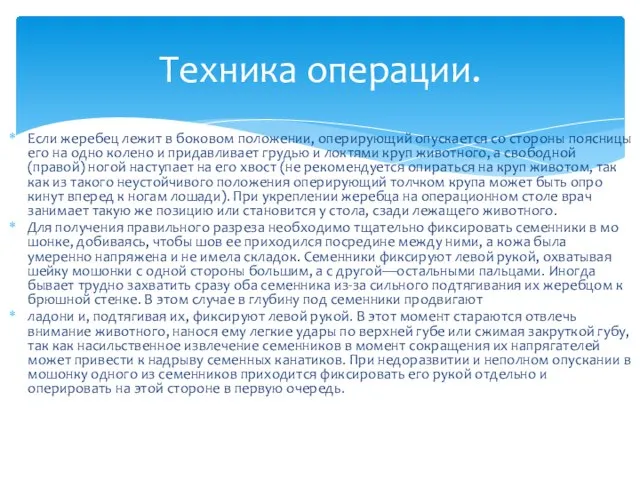 Техника операции. Если жеребец лежит в бо­ковом положении, оперирующий опускается со