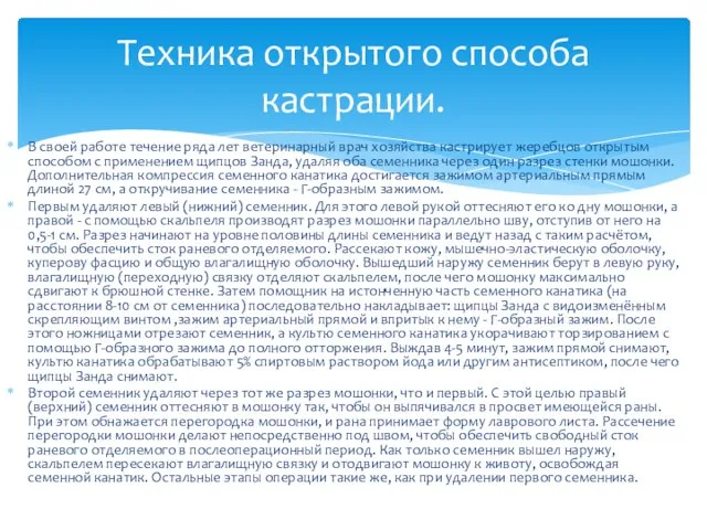 В своей работе течение ряда лет ветеринарный врач хозяйства кастрирует жеребцов