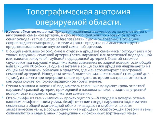 Кровоснабжение мошонки. Придаток семенника и семяпровод полу­чают ветви от внутренней семенной