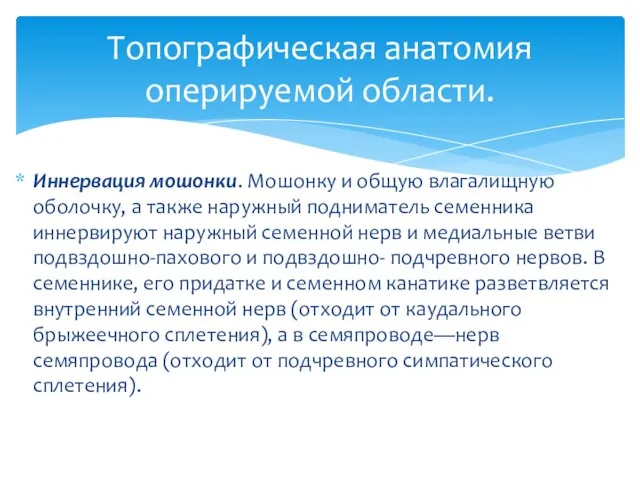 Иннервация мошонки. Мошонку и общую влагалищную оболочку, а также наружный подниматель