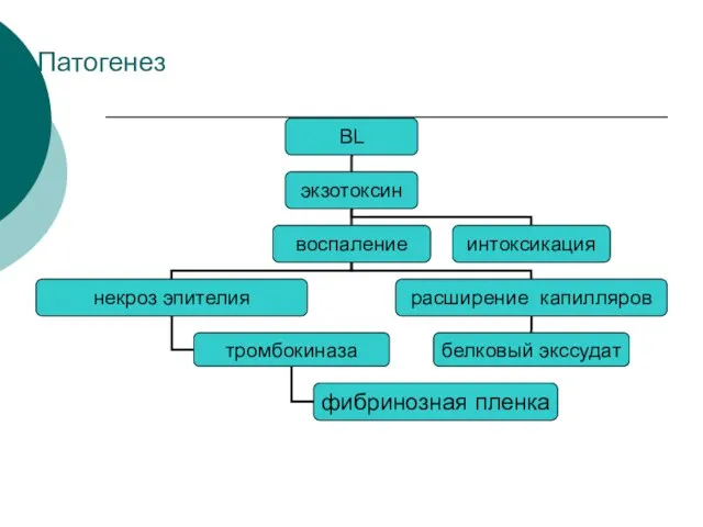 Патогенез