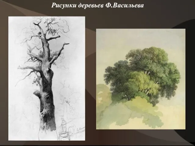 Рисунки деревьев Ф.Васильева