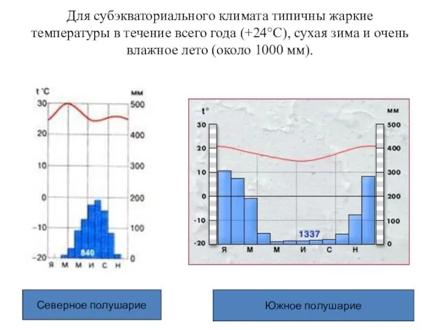 Для субэкваториального климата типичны жаркие температуры в течение всего года (+24°С),