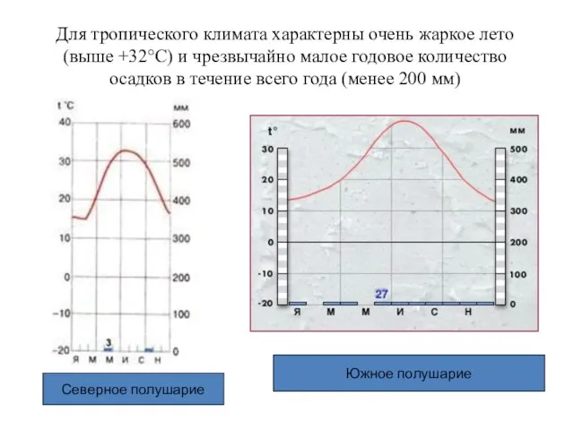 Для тропического климата характерны очень жаркое лето (выше +32°С) и чрезвычайно