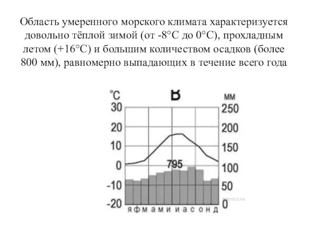 Область умеренного морского климата характеризуется довольно тёплой зимой (от -8°С до