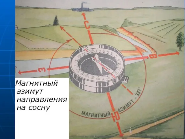 Магнитный азимут направления на сосну