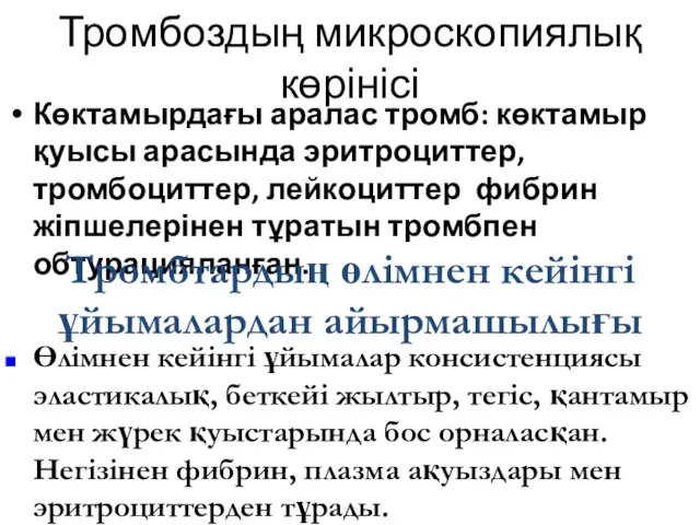 Тромбоздың микроскопиялық көрінісі Көктамырдағы аралас тромб: көктамыр қуысы арасында эритроциттер, тромбоциттер,