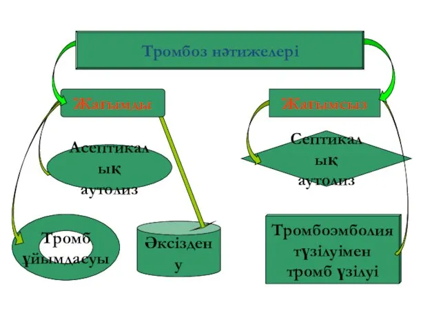 Асептикалық аутолиз Тромб ұйымдасуы Әксіздену Септикалық аутолиз Тромбоэмболия түзілуімен тромб үзілуі Жағымды Жағымсыз Тромбоз нәтижелері