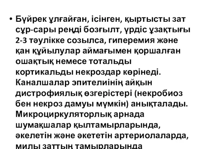 Бүйрек ұлғайған, ісінген, қыртысты зат сұр-сары реңді бозғылт, үрдіс ұзақтығы 2-3