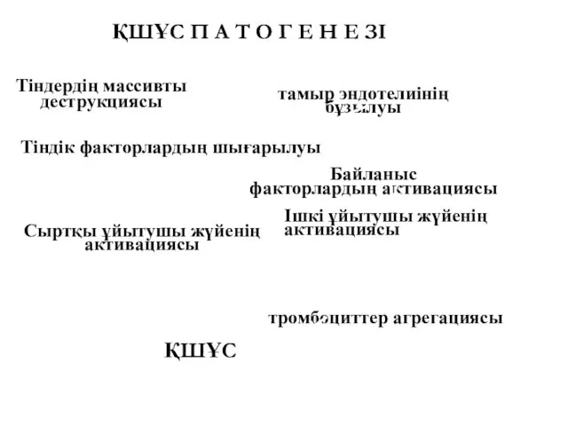 Тіндердің массивты деструкциясы тамыр эндотелиінің бұзылуы Тіндік факторлардың шығарылуы Байланыс факторлардың