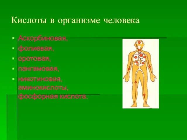 Кислоты в организме человека Аскорбиновая, фолиевая, оротовая, пангамовая, никотиновая, аминокислоты, фосфорная кислота.