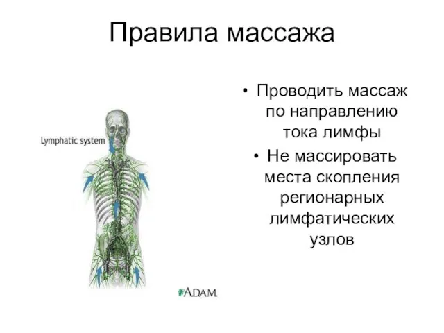 Правила массажа Проводить массаж по направлению тока лимфы Не массировать места скопления регионарных лимфатических узлов