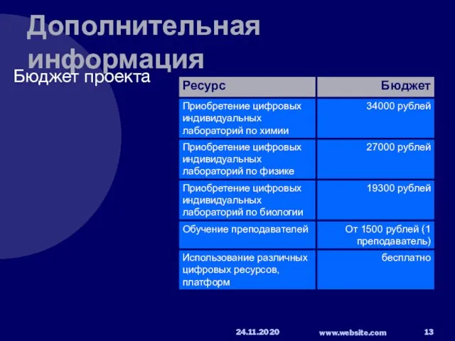 Дополнительная информация Бюджет проекта