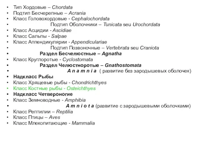 Тип Хордовые – Chordata Подтип Бесчерепные – Acrania Класс Головохордовые -