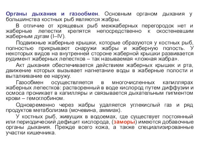 Органы дыхания и газообмен. Основным органом дыхания у большинства костных рыб