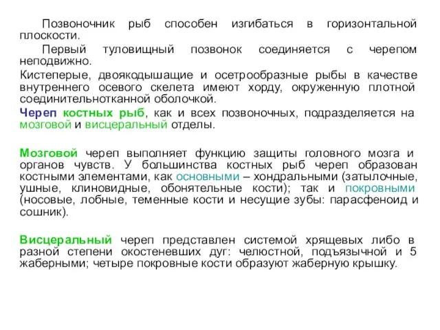 Позвоночник рыб способен изгибаться в горизонтальной плоскости. Первый туловищный позвонок соединяется