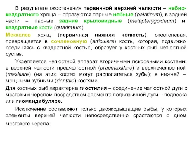 В результате окостенения первичной верхней челюсти – небно-квадратного хряща – образуются