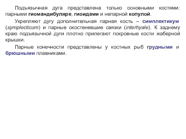 Подъязычная дуга представлена только основными костями: парными гиомандибуляре, гиоидами и непарной