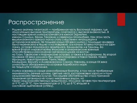 Распространение Родина ахатины гигантской — прибрежная часть Восточной Африки, где относительно