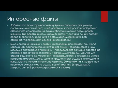 Интересные факты Забавно, что если кормить ахатину яркими овощами (например, сортами