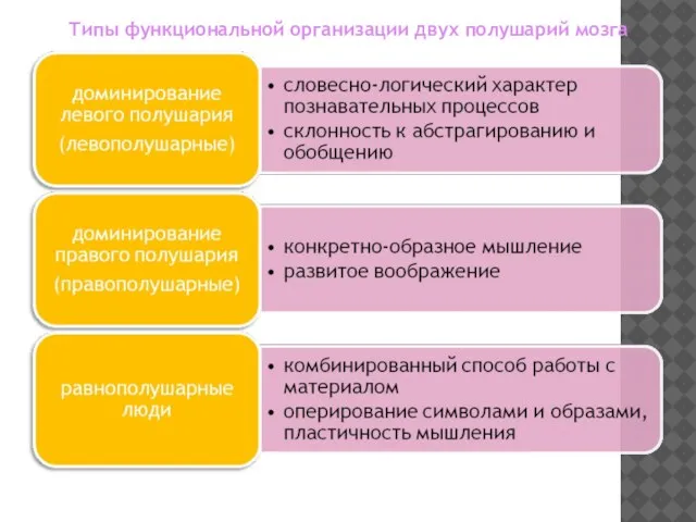 Типы функциональной организации двух полушарий мозга