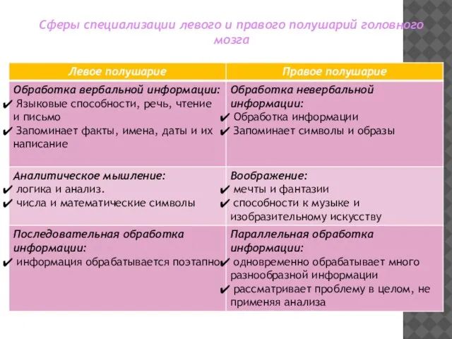 Сферы специализации левого и правого полушарий головного мозга