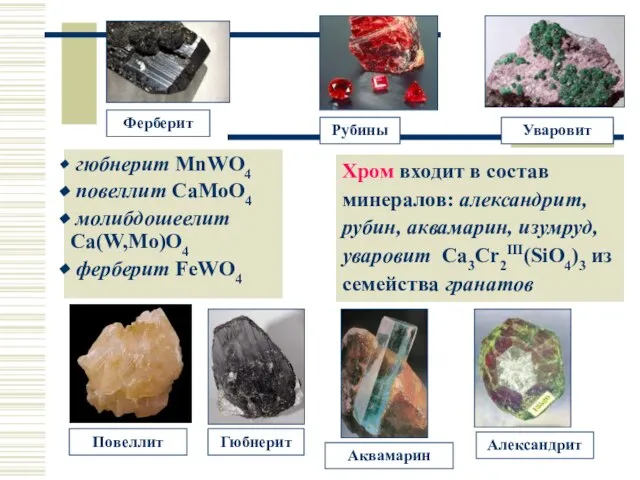 Минералы гюбнерит MnWO4 повеллит CaMoO4 молибдошеелит Ca(W,Mo)O4 ферберит FeWO4 Хром входит