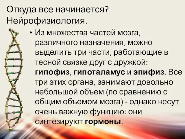 Откуда все начинается? Нейрофизиология. Из множества частей мозга, различного назначения, можно