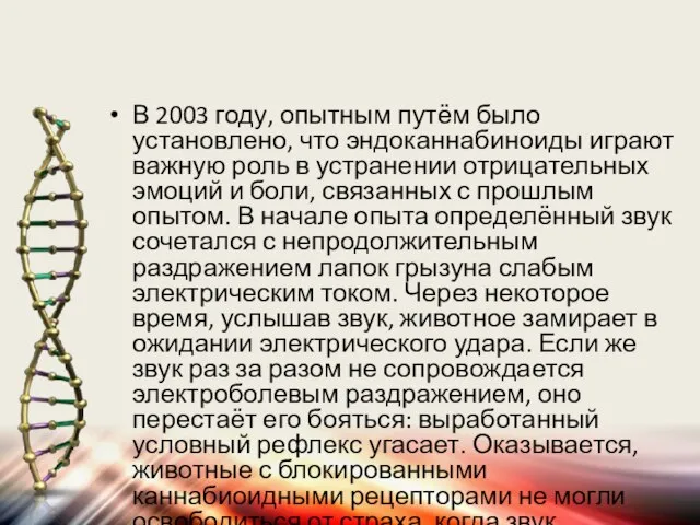 В 2003 году, опытным путём было установлено, что эндоканнабиноиды играют важную