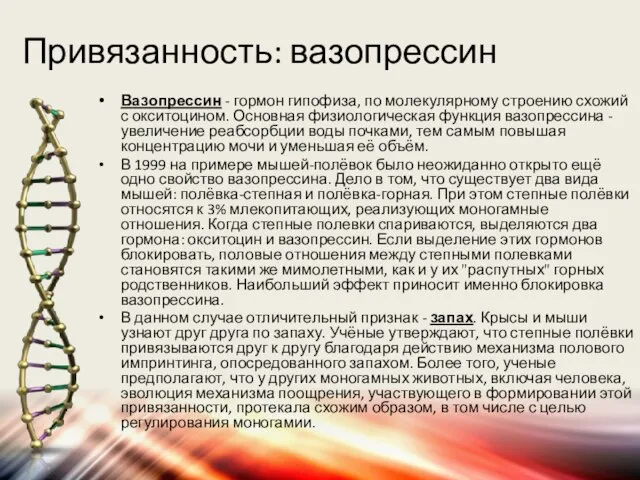 Привязанность: вазопрессин Вазопрессин - гормон гипофиза, по молекулярному строению схожий с