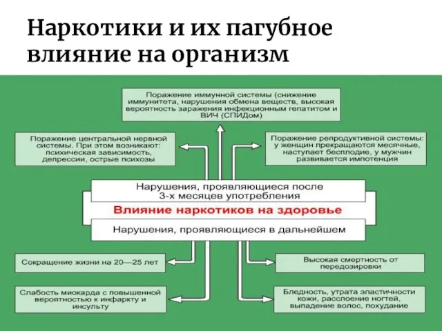 Наркотики и их пагубное влияние на организм