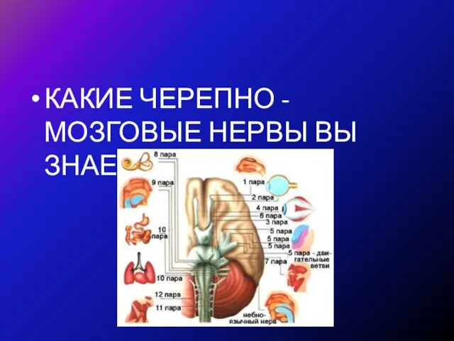 КАКИЕ ЧЕРЕПНО - МОЗГОВЫЕ НЕРВЫ ВЫ ЗНАЕТЕ?